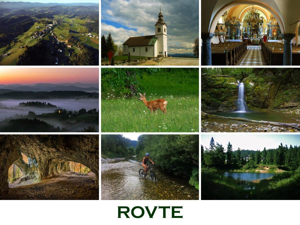 Lookout Resort Tiny House Rovte Ngoại thất bức ảnh